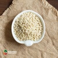 Sorghum