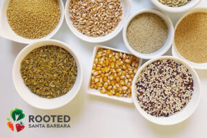 OverVarious grains in bowls as seen from overhead