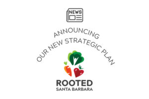 Rooted Strategic Plan Announcement graphic