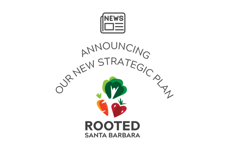 Announcing Our New Strategic Plan