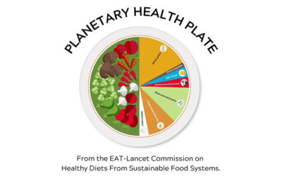 Research: Planetary Health Plate