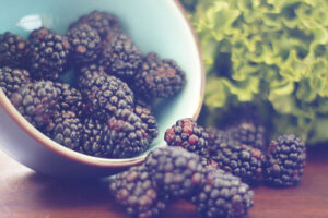 Bowl of fresh blackberries