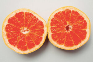 Two sliced orange halves