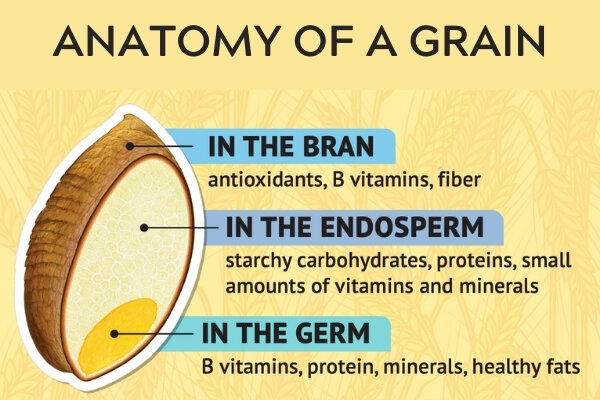 Anatomía de una ilustración de grano