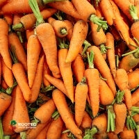 Carrots