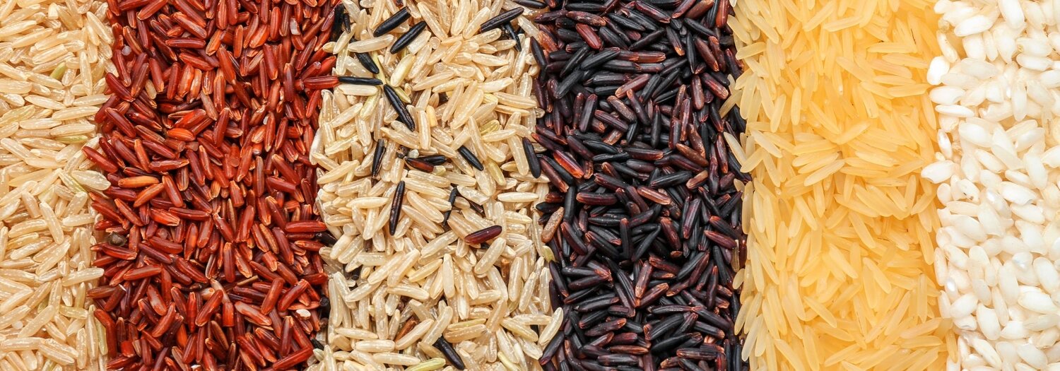 Variedades de arroz