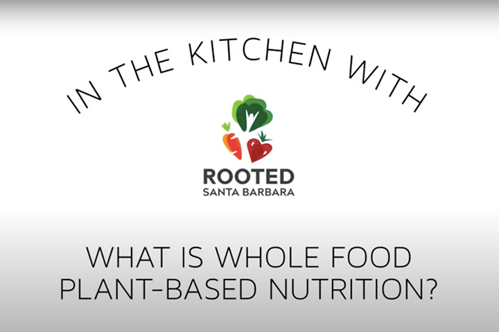 ¿Qué son los alimentos integrales a base de plantas?