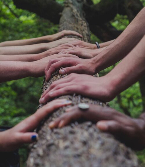 Manos unidas en un tronco de árbol largo