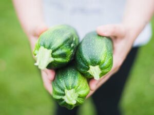 A woman's hands holding zucchini