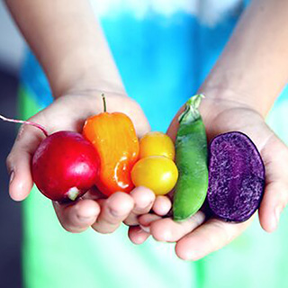 Nutrition Basics - two hands holding vibrantly colored  vegetables