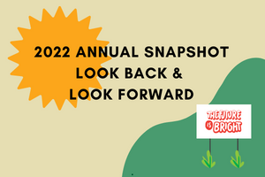 2022 Annual Snapshot - Look back & Look forward