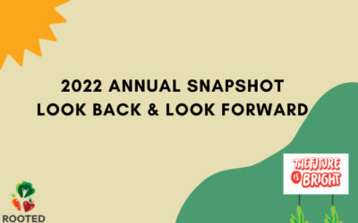 2022 Annual Snapshot