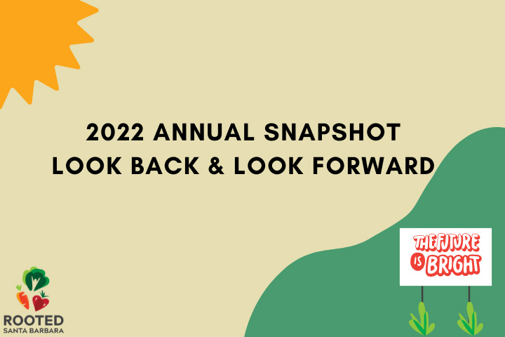2022 Annual Snapshot