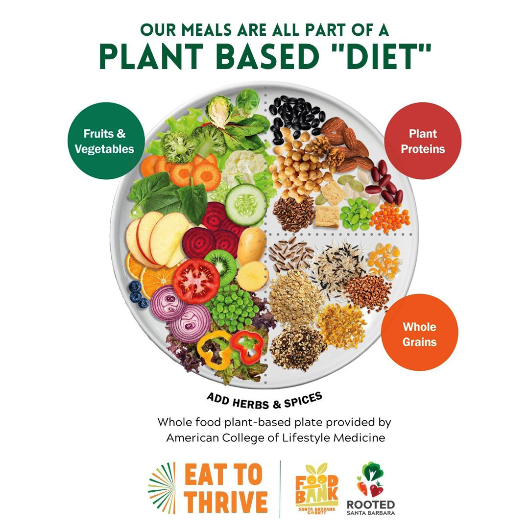 A Plant Based diet graphic with an illustration of a plate with vegetables, fruit, whole grains and nuts, seeds and beans