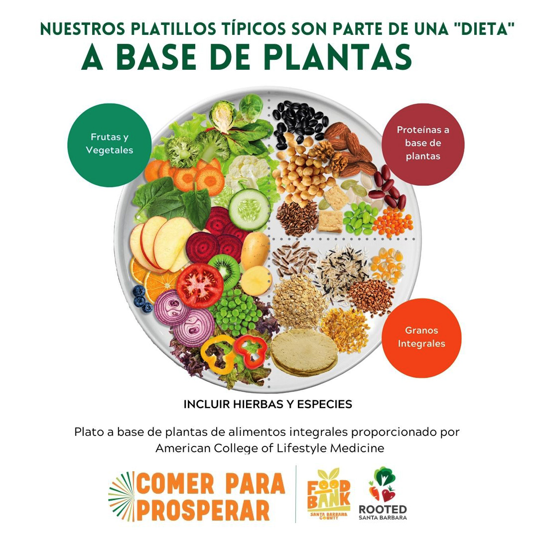 Un gráfico de dieta basada en plantas con una ilustración de un plato con verduras, frutas, cereales integrales y nueces, semillas y frijoles.